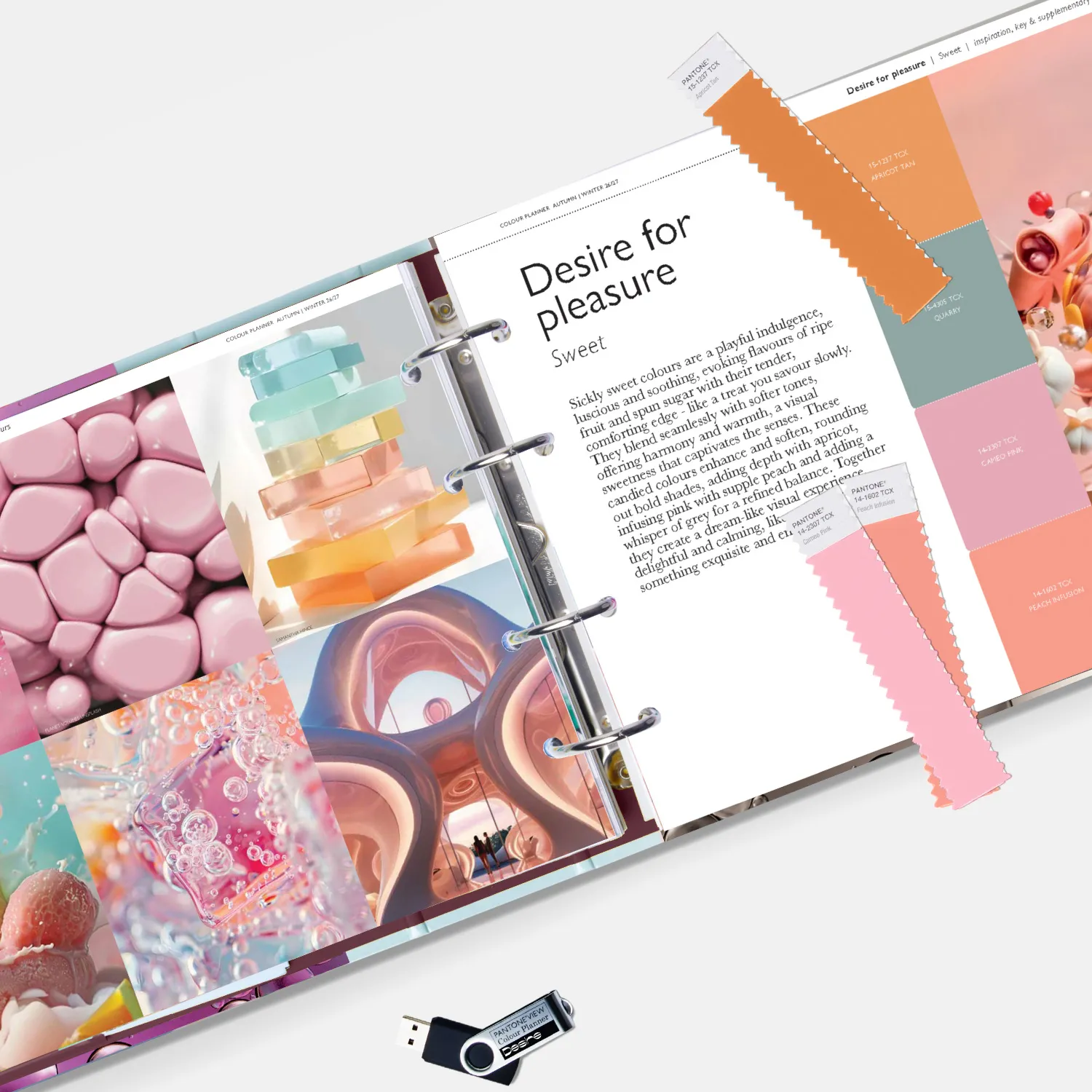 Photo of Vcp F26 Pantone View Colour Planner Desire_3_new