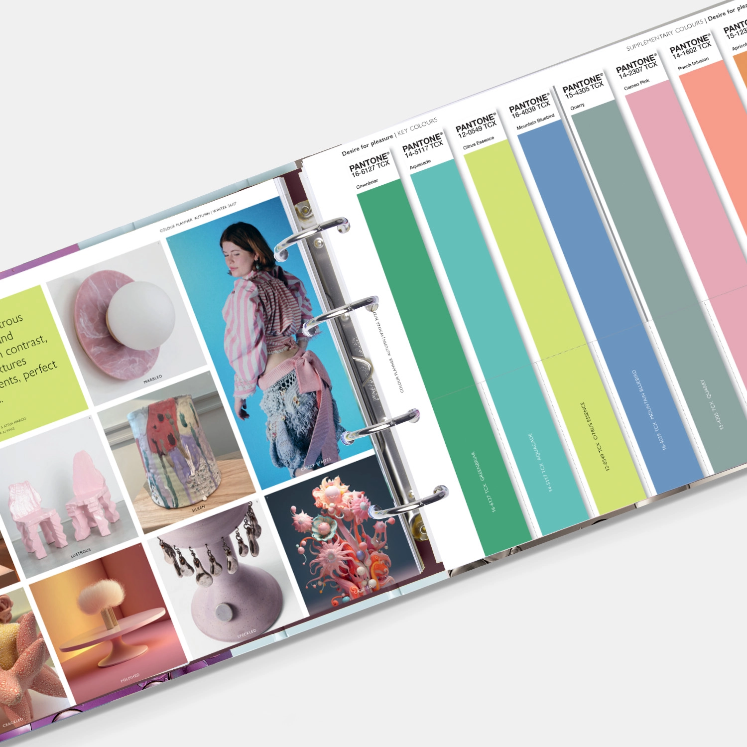 Photo of Vcp F26 Pantone View Colour Planner Desire_4