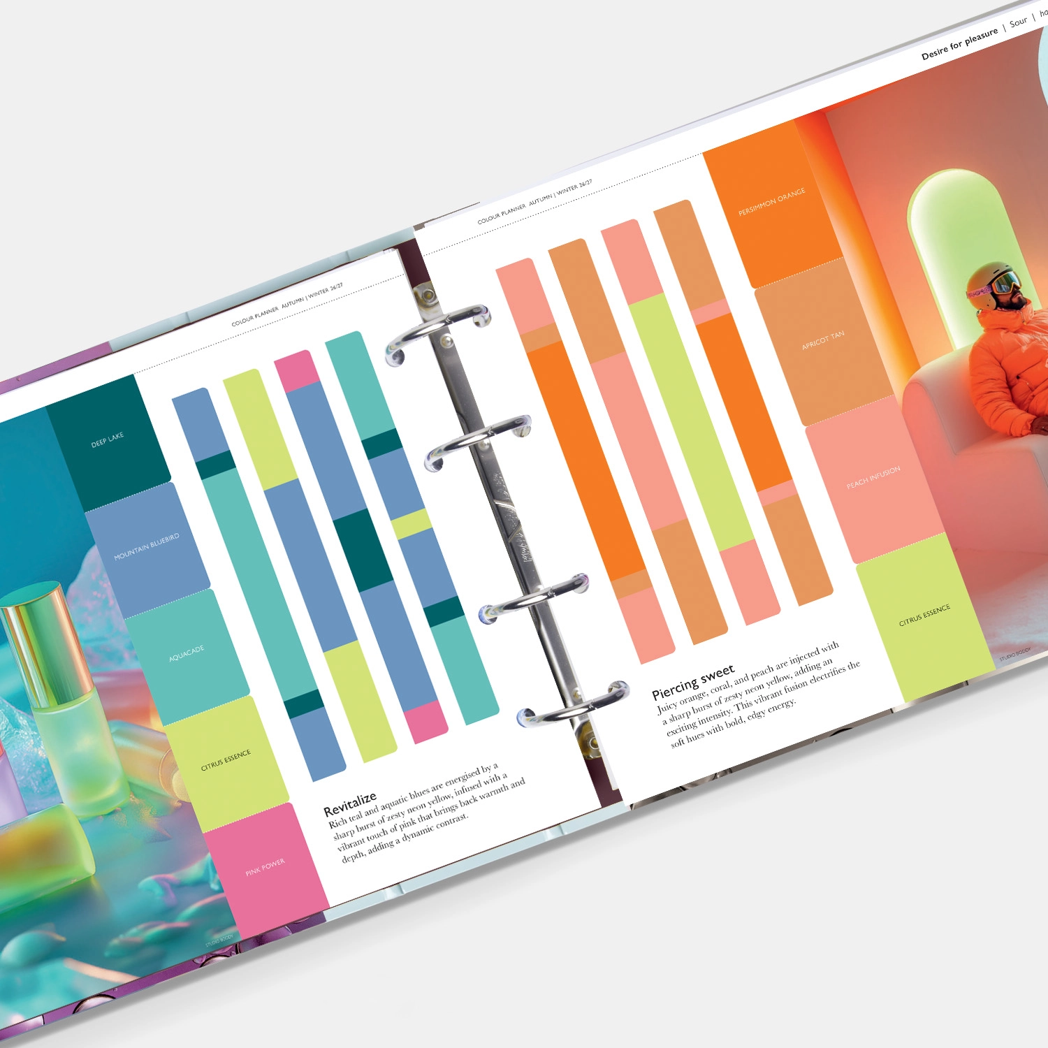 Photo of Vcp F26 Pantone View Colour Planner Desire_7