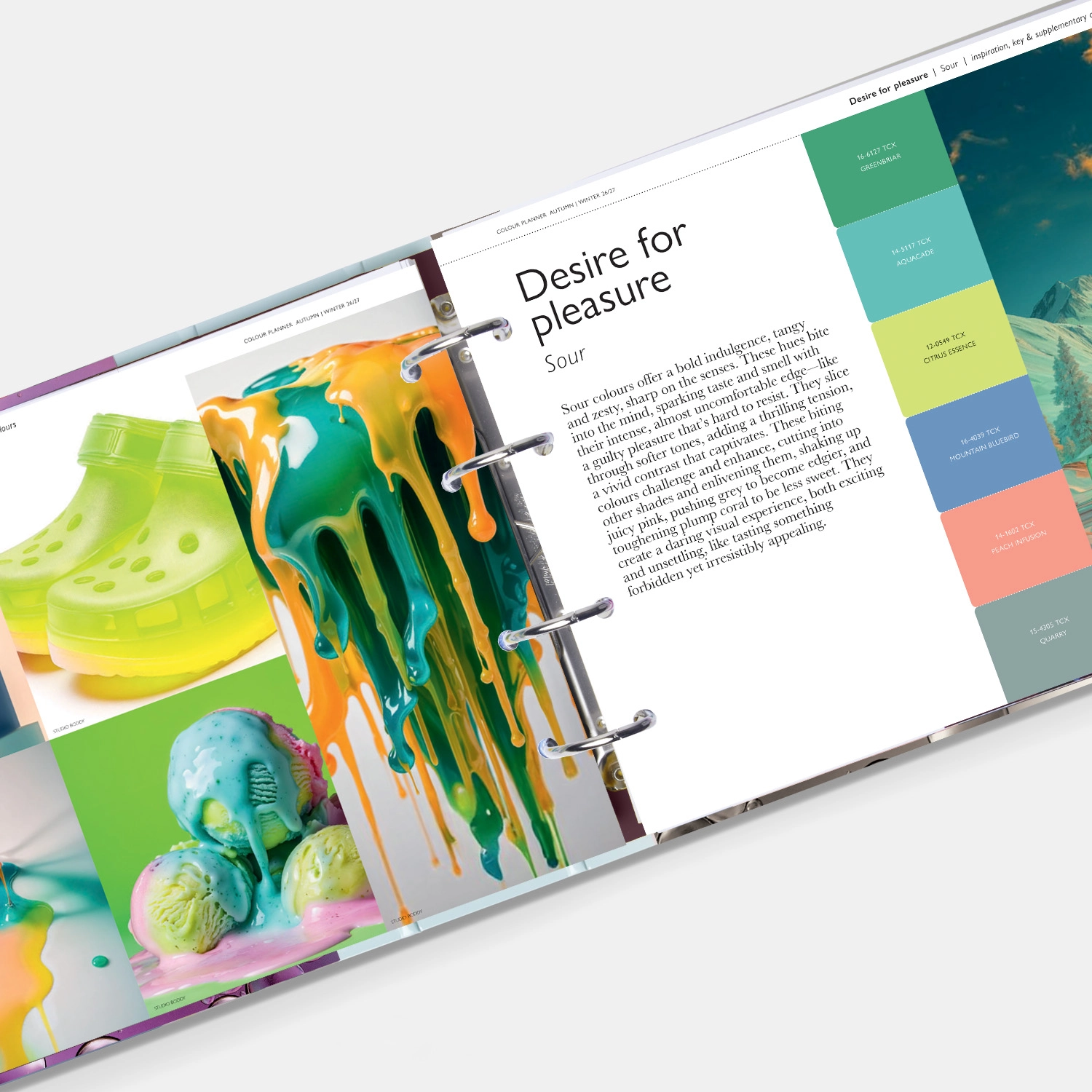 Photo of Vcp F26 Pantone View Colour Planner Desire_8