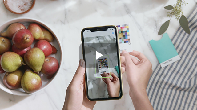 Video about Pantone Connect